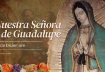 FIESTA DE LA VIRGEN DE GUADALUPE