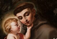 Fiesta de San Antonio de Padua, el «Doctor Evangélico»