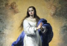 Fr. Pedro Castro OFM: «Libertad de expresión debe ser ejercida con responsabilidad y respeto a la fe»