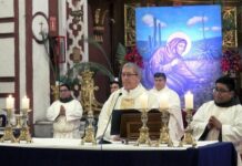 Apertura del Año Jubilar por el VIII Centenario del «Cántico de las criaturas» de San Francisco de Asís (1225 – 2025) Cántico de las criatuas